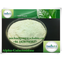 Alpha-galactosidase Enzyme